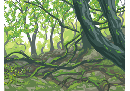 in natureのイラスト